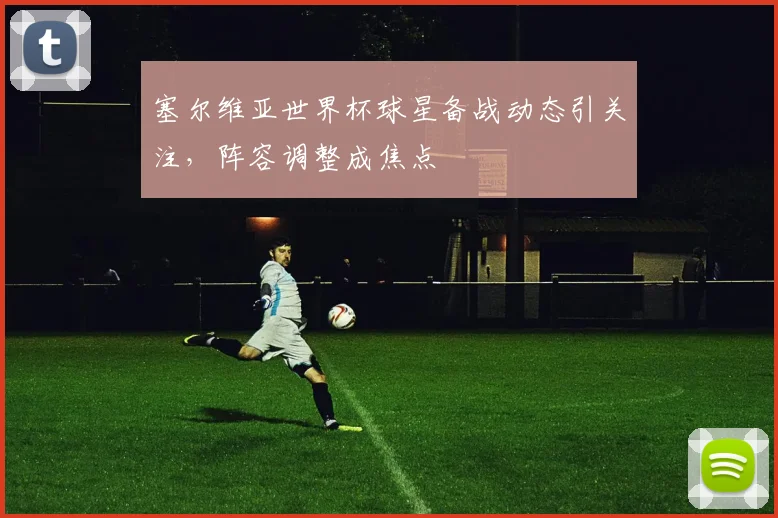塞尔维亚世界杯球星备战动态引关注，阵容调整成焦点