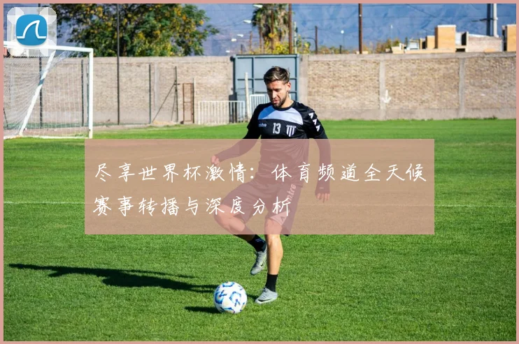 尽享世界杯激情:体育频道全天候赛事转播与深度分析