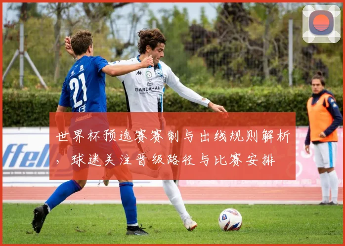 世界杯预选赛赛制与出线规则解析，球迷关注晋级路径与比赛安排