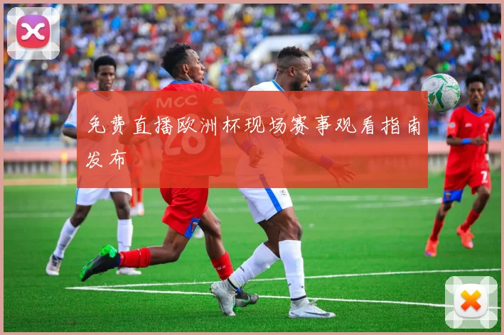 免费直播欧洲杯现场赛事观看指南发布