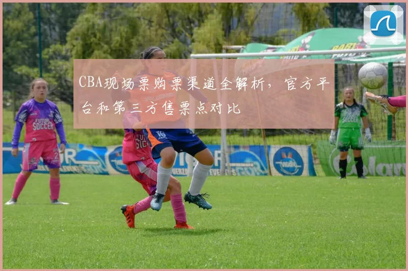 CBA现场票购票渠道全解析，官方平台和第三方售票点对比