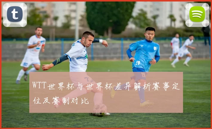 WTT世界杯与世界杯差异解析赛事定位及赛制对比