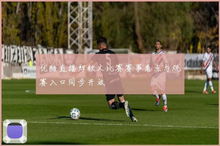 优酷直播郑钦文比赛赛事看点与观赛入口同步开放