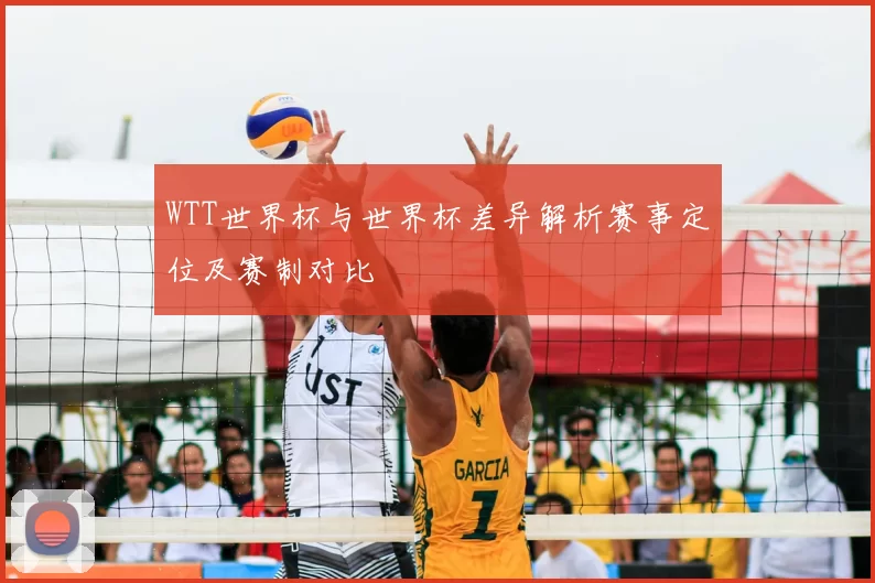 WTT世界杯与世界杯差异解析赛事定位及赛制对比